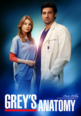 Grey's Anatomy – 3° Temporada Completa HDTV Dublado Torrent
