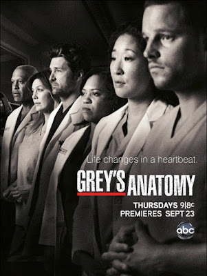 Grey's Anatomy – 6° Temporada Completa HDTV Dublado Torrent