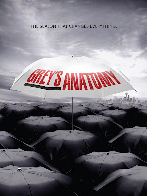 Grey's Anatomy – 7° Temporada Completa HDTV Dublado Torrent