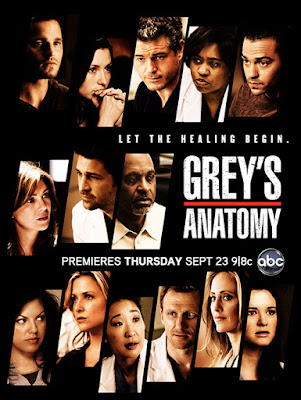 Grey's Anatomy – 8° Temporada Completa HDTV Dublado Torrent