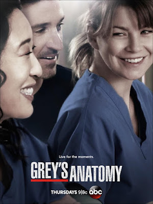 Grey's Anatomy – 9° Temporada Completa HDTV Dublado Torrent