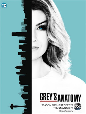 Grey's Anatomy – 10° Temporada Completa HDTV Dublado Torrent