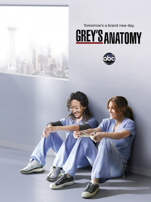 Grey's Anatomy – 12° Temporada Completa HD Dublado Torrent