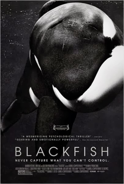 Blackfish: Fúria Animal AVI BRRip Legendado – Torrent