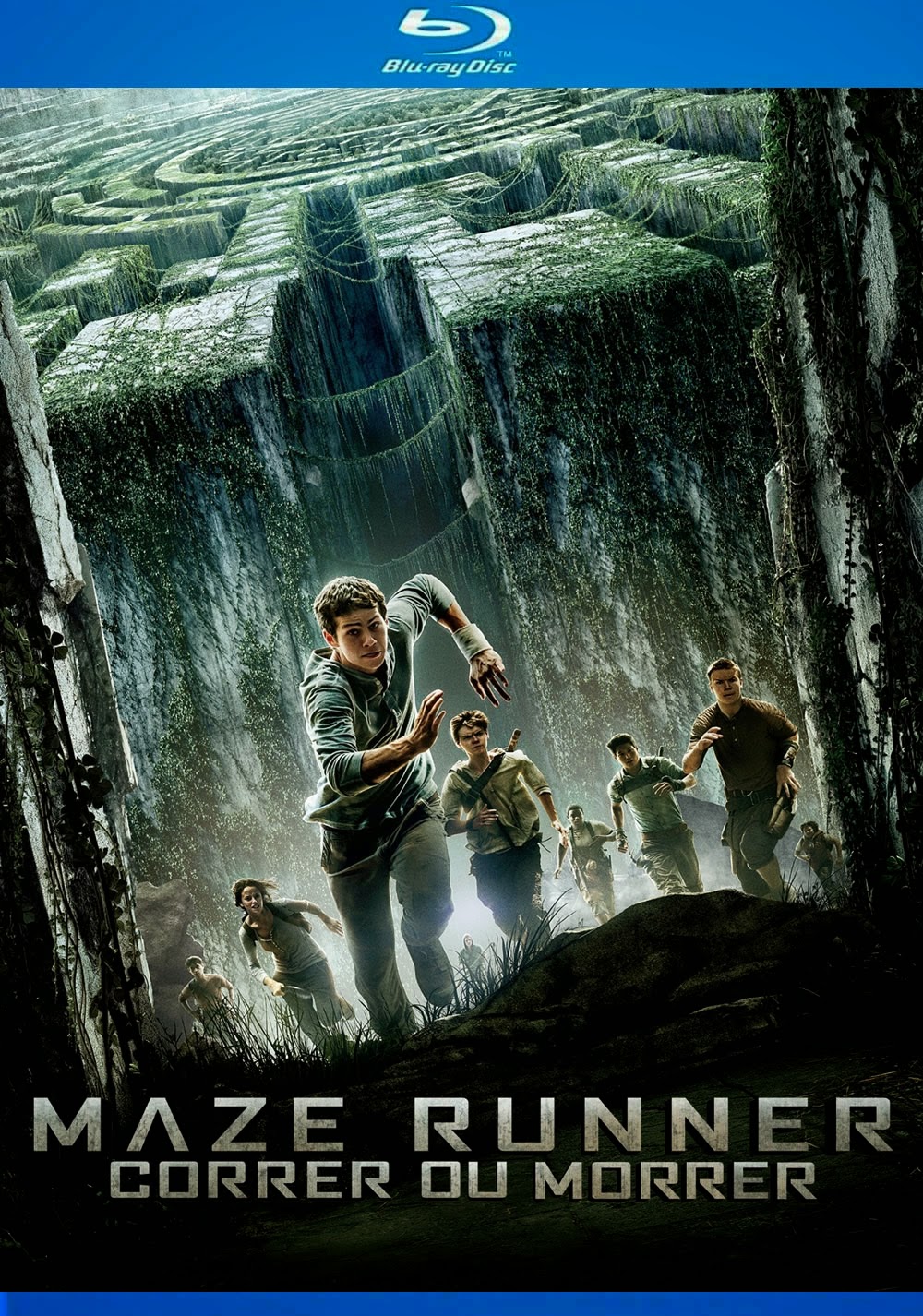 Maze Runner – Correr ou Morrer [ 2014 ] Bluray 720p Dublado Assistr e Baixar