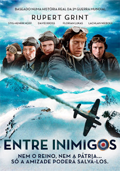 Baixar Entre Inimigos [BDRip] AVI Dual Audio 2013