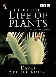 A Vida Privada das Plantas – 1995